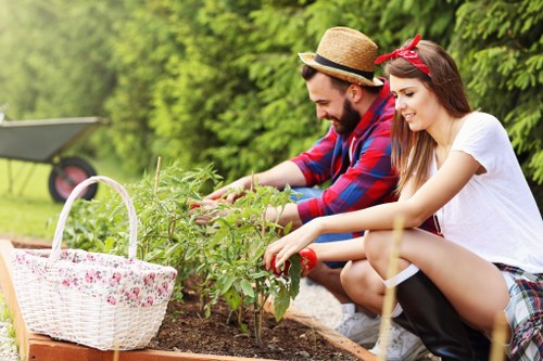 Eco-friendly lawn care practices in Northolt