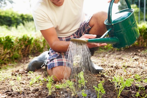Experienced Northolt lawn care team at work