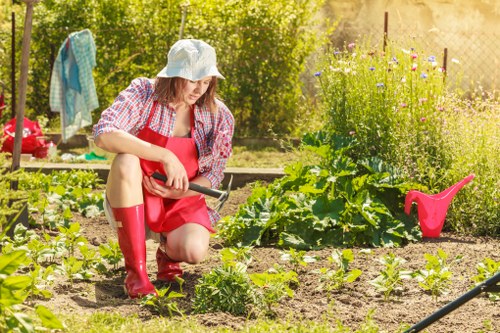 Sustainable landscape gardening practices in a Northolt garden