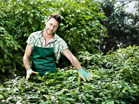 Professional landscapers designing a modern outdoor space in Northolt
