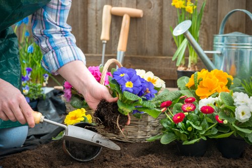 Professional landscaping services enhancing a Northolt garden