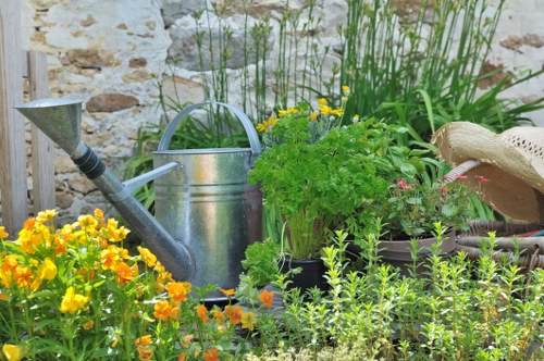 Healthy green lawn maintained by experts in Northolt