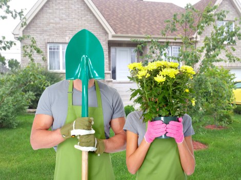DIY hedge maintenance tips